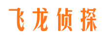 九龙坡侦探